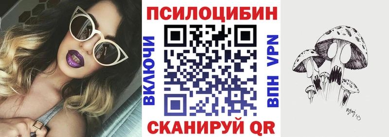 купить наркотики сайты Архангельск Галлюциногенные грибы мицелий